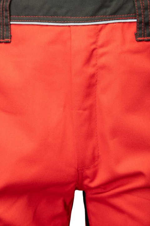 SPODNIE OGRODNICZKI RUBIN