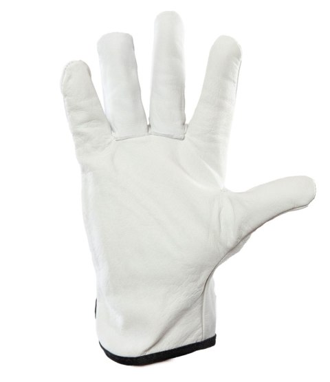 DRIVE SKÓRA BYDLĘCA