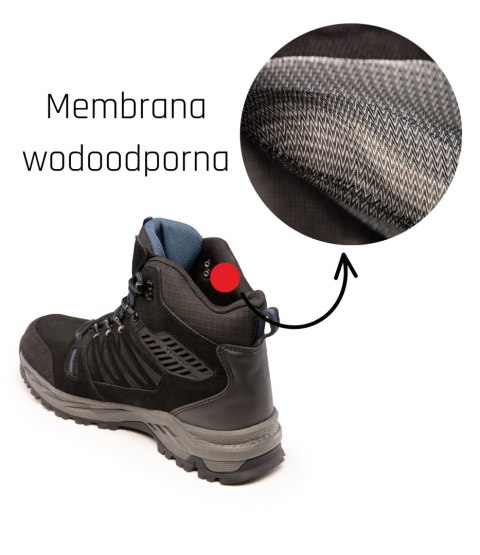 TRZEWIK BEARFIELD X TRAIL TRZEWIK O6 SR FO